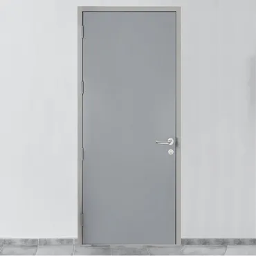 metal flush doors